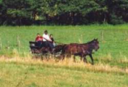 Kleinkahl G�stehaus Ritschel : Kutschfahrt